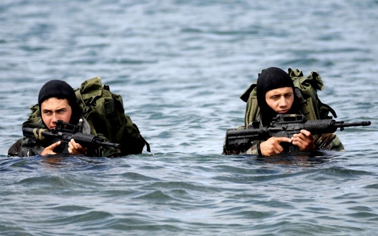 Navy SEAL Theme screenshot #2