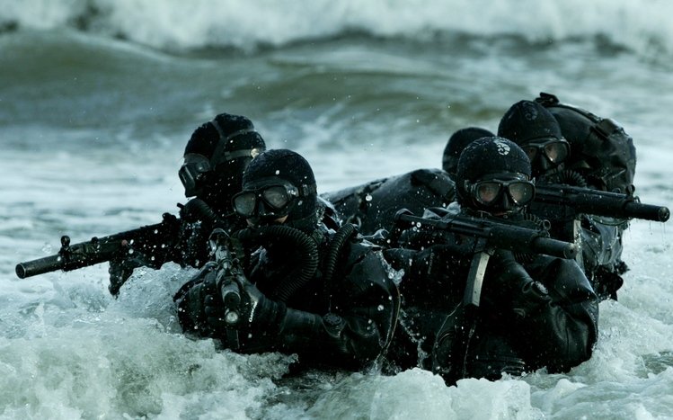 Navy SEAL Theme screenshot #10