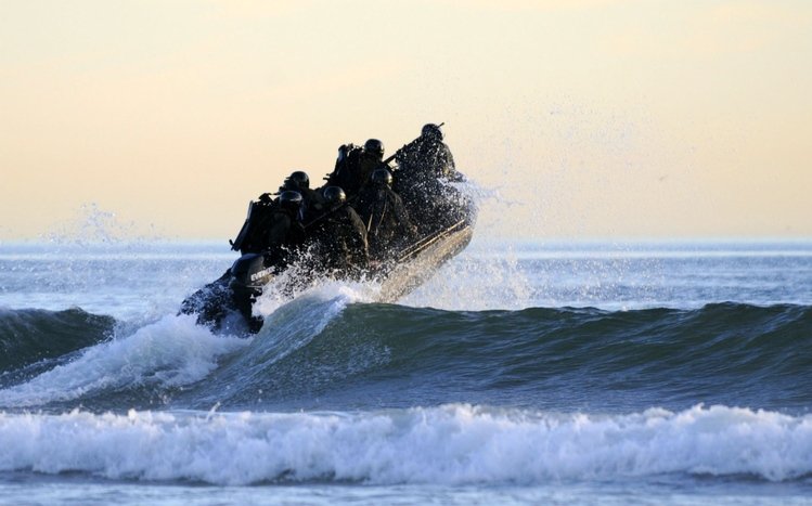 Navy SEAL Theme screenshot #9