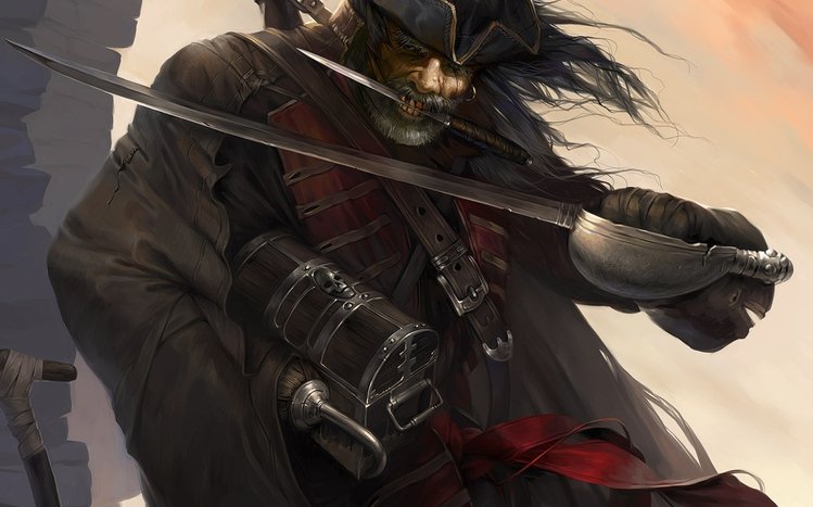 Pirate Theme screenshot #7