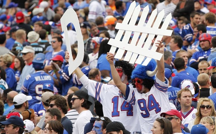 Buffalo Bills Theme screenshot #8