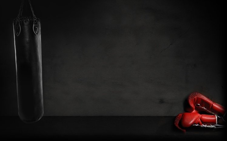 Boxing Theme screenshot #11