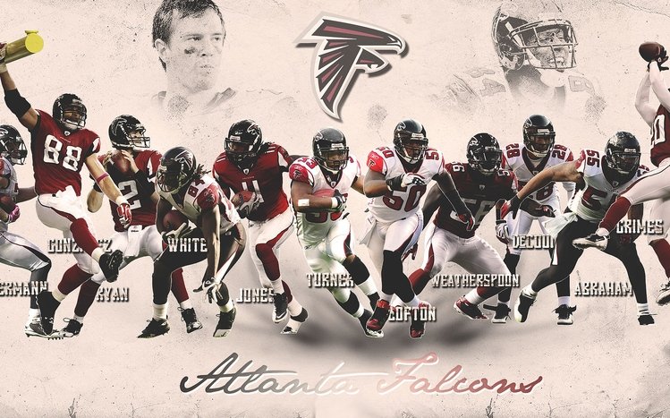 Atlanta Falcons Theme screenshot #9