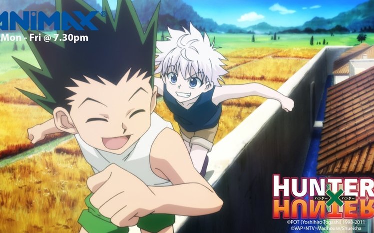 Hunter x Hunter Theme screenshot #13