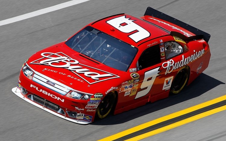 NASCAR Theme screenshot #9