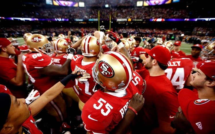 San Francisco 49ers Theme screenshot #11