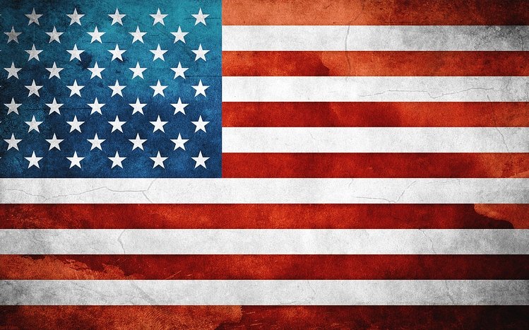 Patriotic Theme screenshot #5