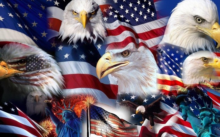 Patriotic Theme screenshot #12