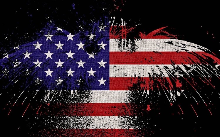 Patriotic Theme screenshot #13