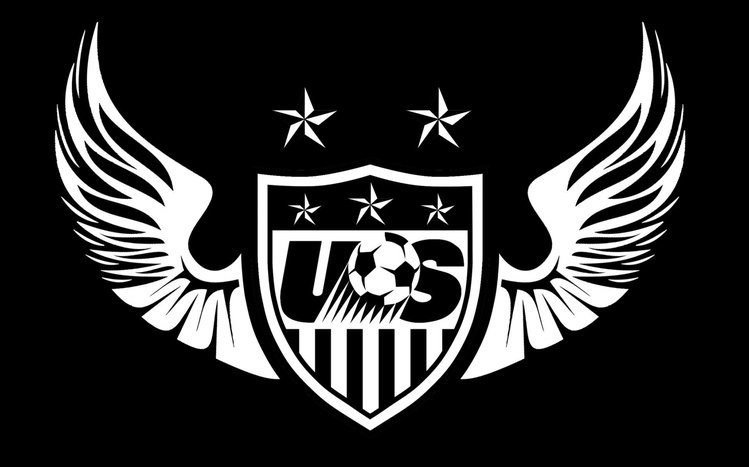 US Soccer Theme screenshot #9