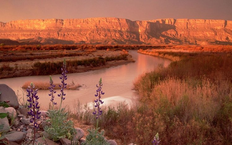 Texas Theme screenshot #11