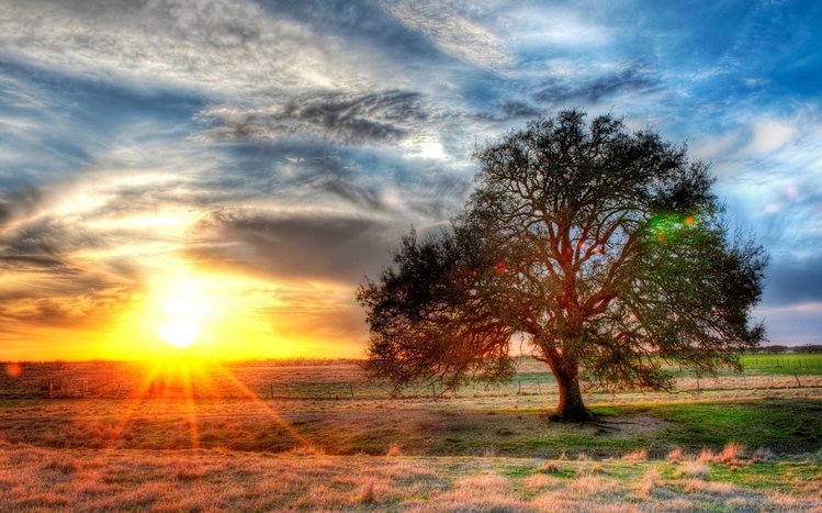 Texas Theme screenshot #5