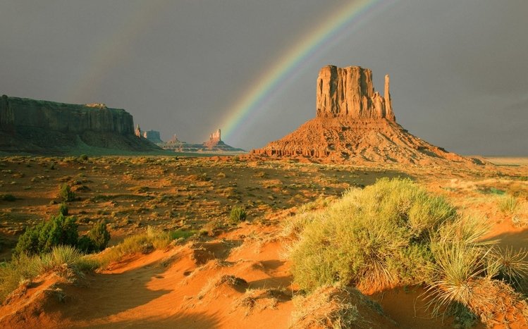 Texas Theme screenshot #13