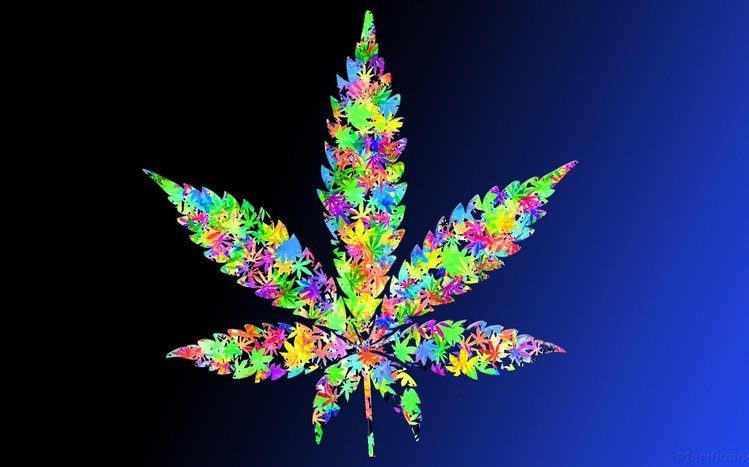 Stoner Theme screenshot #1