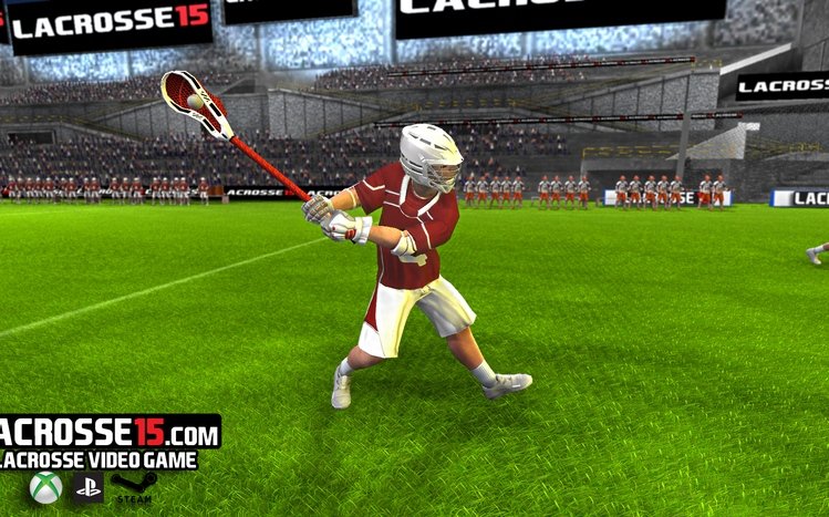 Lacrosse Theme screenshot #2