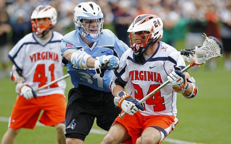 Lacrosse Theme screenshot #4