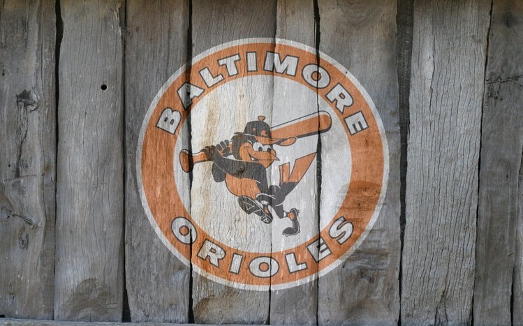 Baltimore Orioles Theme screenshot #1