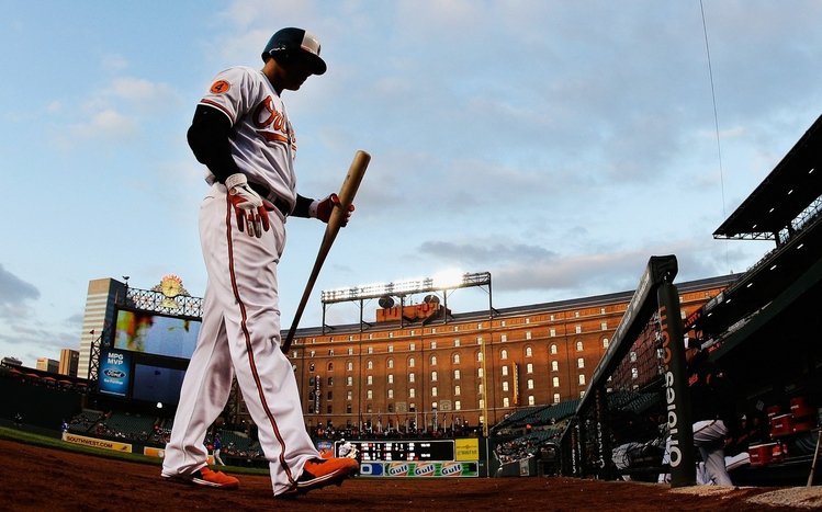 Baltimore Orioles Theme screenshot #3