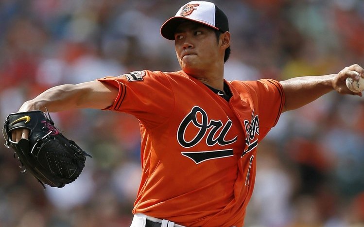 Baltimore Orioles Theme screenshot #8