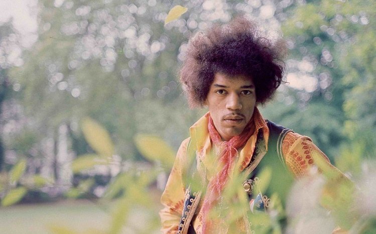 Jimi Hendrix Theme screenshot #5