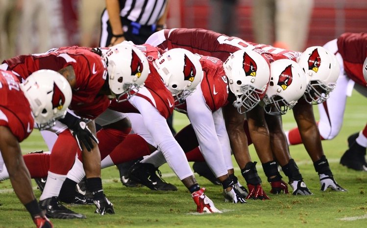 Arizona Cardinals Theme screenshot #8