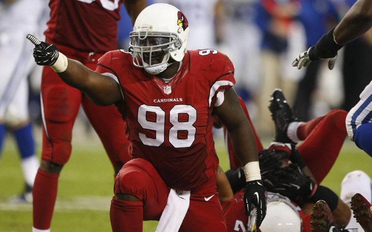 Arizona Cardinals Theme screenshot #9