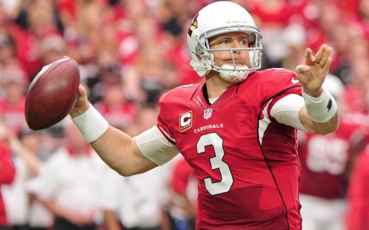 Arizona Cardinals Theme screenshot #6