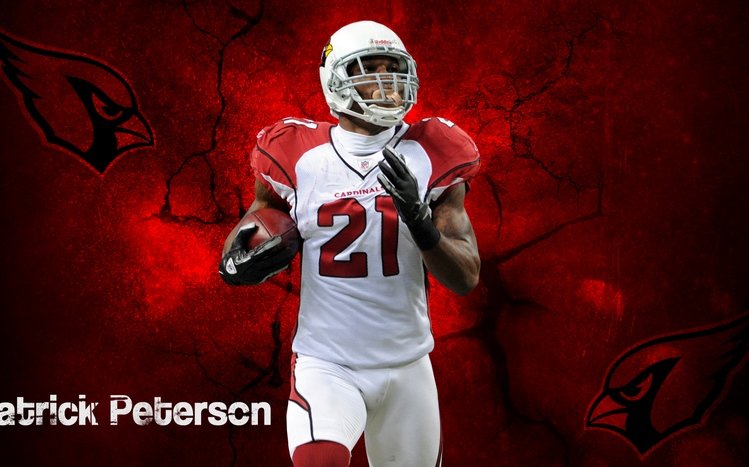 Arizona Cardinals Theme screenshot #1
