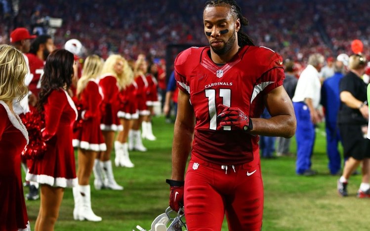 Arizona Cardinals Theme screenshot #7