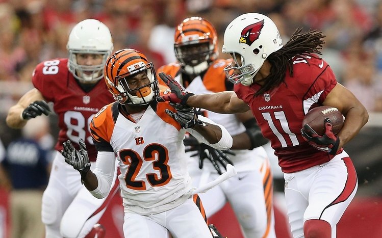 Arizona Cardinals Theme screenshot #2