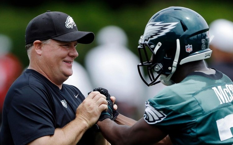 LeSean McCoy Theme screenshot #3