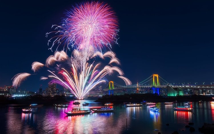 Fireworks Theme screenshot #4