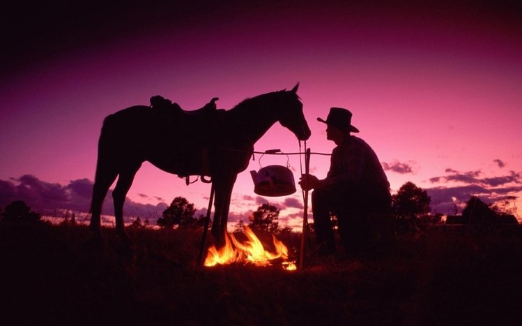 Cowboy Theme screenshot #9