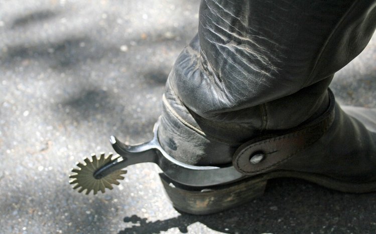 Cowboy Theme screenshot #3