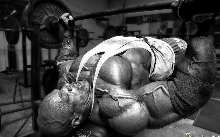 Bodybuilding Theme screenshot #8