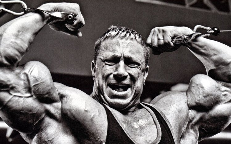 Bodybuilding Theme screenshot #12