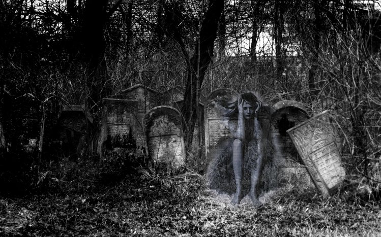 Ghost  Theme screenshot #8