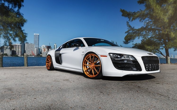 Audi R8 Theme screenshot #5