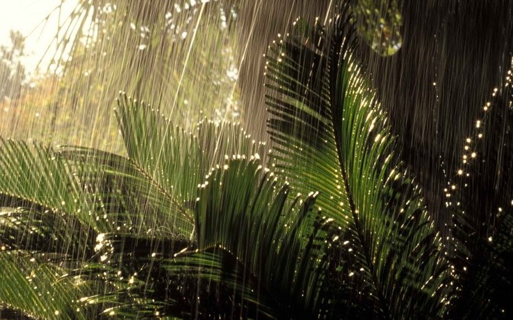 Jungle Theme screenshot #15