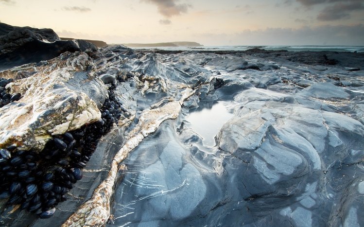 Ice Theme screenshot #12