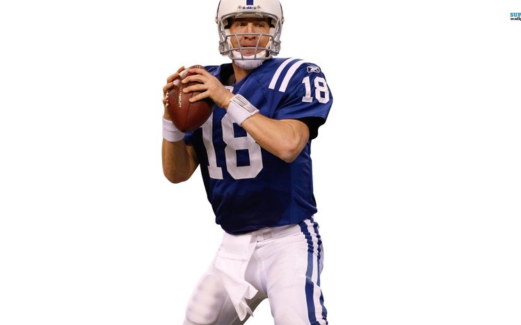 Peyton Manning Theme screenshot #13