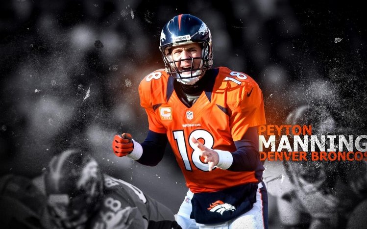 Peyton Manning Theme screenshot #3