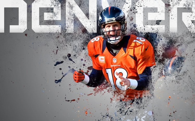 Peyton Manning Theme screenshot #6