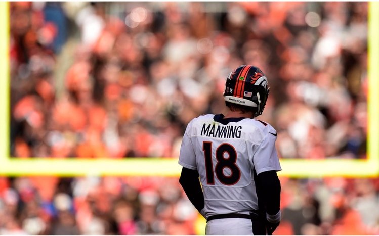 Peyton Manning Theme screenshot #5