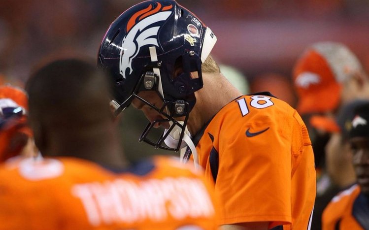 Peyton Manning Theme screenshot #8