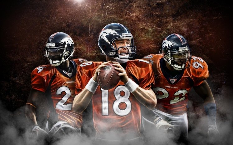 Peyton Manning Theme screenshot #16