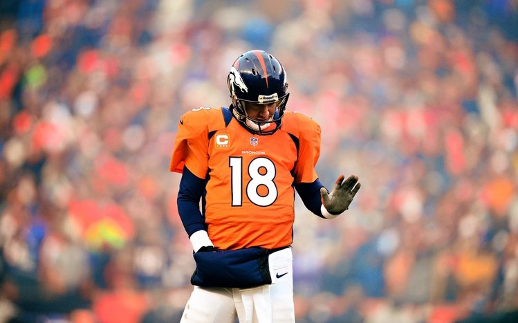 Peyton Manning Theme screenshot #9