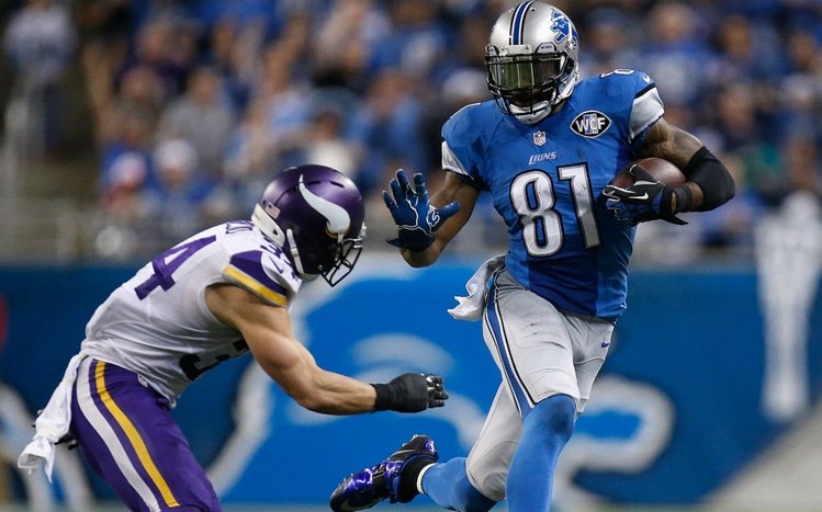 Calvin Johnson Theme screenshot #11