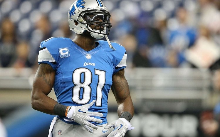 Calvin Johnson Theme screenshot #2