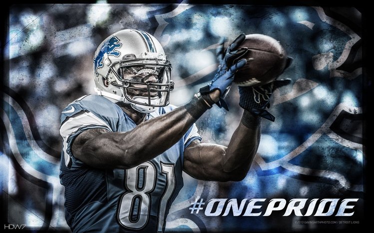 Calvin Johnson Theme screenshot #8